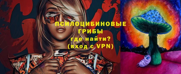 меф Корсаков