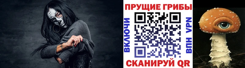 Псилоцибиновые грибы Psilocybine cubensis  сайты даркнета состав  Медвежьегорск 